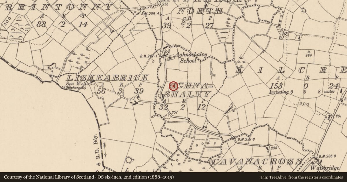 Ordnance Survey six-inch map, 2nd edition (1888–1915) covering the location of Ringfort - rath, Aghnashalvy, County Monaghan, with a pin at the register's coordinates