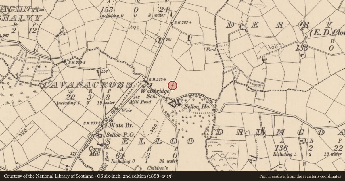 Ordnance Survey six-inch map, 2nd edition (1888–1915) covering the location of Ringfort - rath, Kilcreen, County Monaghan, with a pin at the register's coordinates