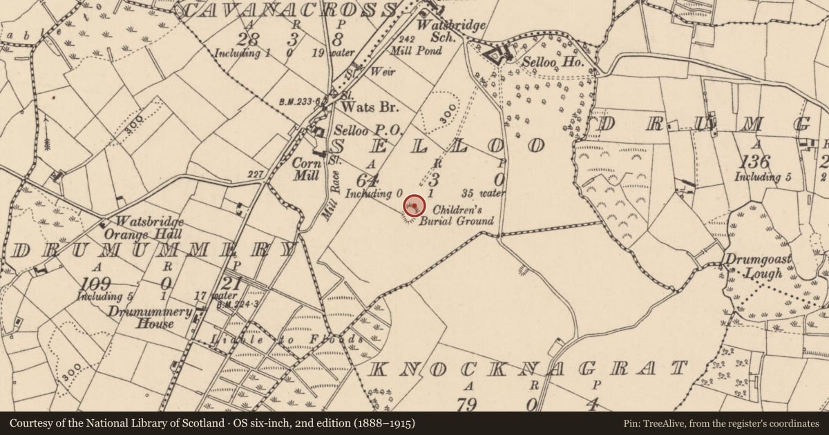 Ordnance Survey six-inch map, 2nd edition (1888–1915) covering the location of Children's burial ground, Selloo, County Monaghan, with a pin at the register's coordinates