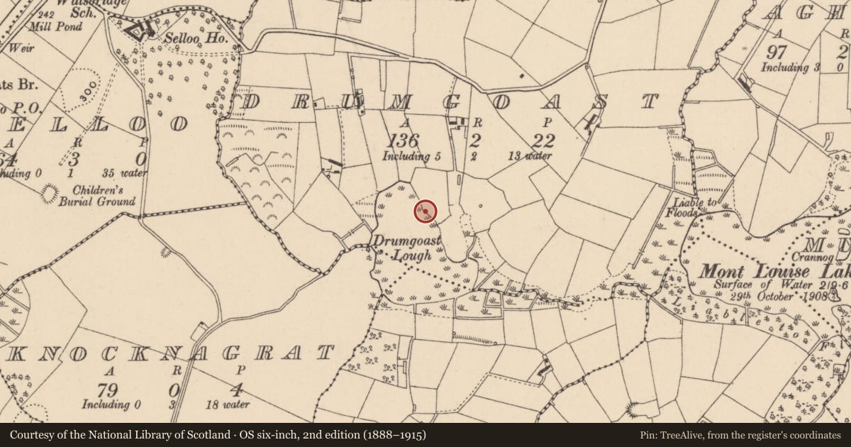 Ordnance Survey six-inch map, 2nd edition (1888–1915) covering the location of Crannog, Drumgoast, County Monaghan, with a pin at the register's coordinates