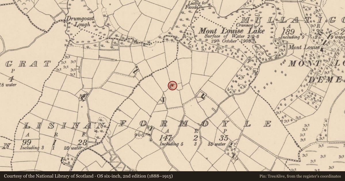 Ordnance Survey six-inch map, 2nd edition (1888–1915) covering the location of Ringfort - rath, Formoyle, County Monaghan, with a pin at the register's coordinates