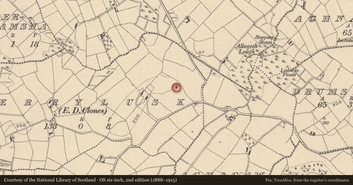 Ordnance Survey six-inch map, 2nd edition (1888–1915) covering the location of Ringfort - rath, Derrylusk (Monaghan by, County Monaghan, with a pin at the register's coordinates