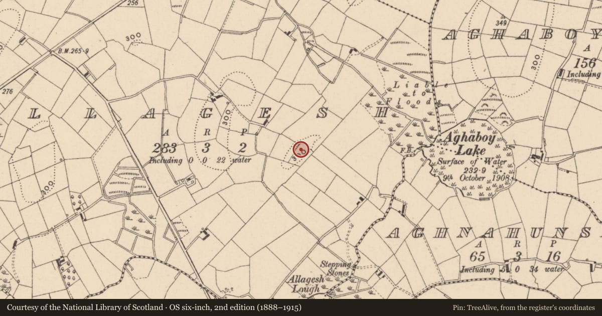 Ordnance Survey six-inch map, 2nd edition (1888–1915) covering the location of Ringfort - rath, Allagesh, County Monaghan, with a pin at the register's coordinates