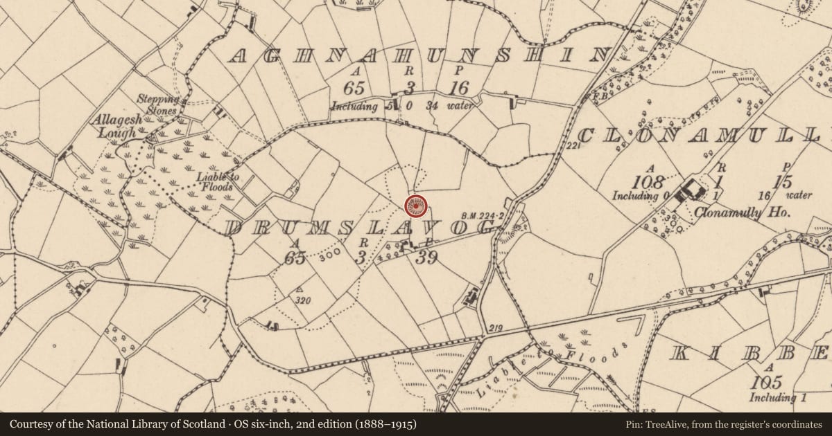 Ordnance Survey six-inch map, 2nd edition (1888–1915) covering the location of Ringfort - rath, Drumslavog, County Monaghan, with a pin at the register's coordinates