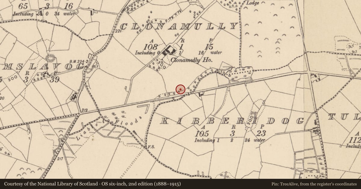 Ordnance Survey six-inch map, 2nd edition (1888–1915) covering the location of Cross, Clonamully, County Monaghan, with a pin at the register's coordinates