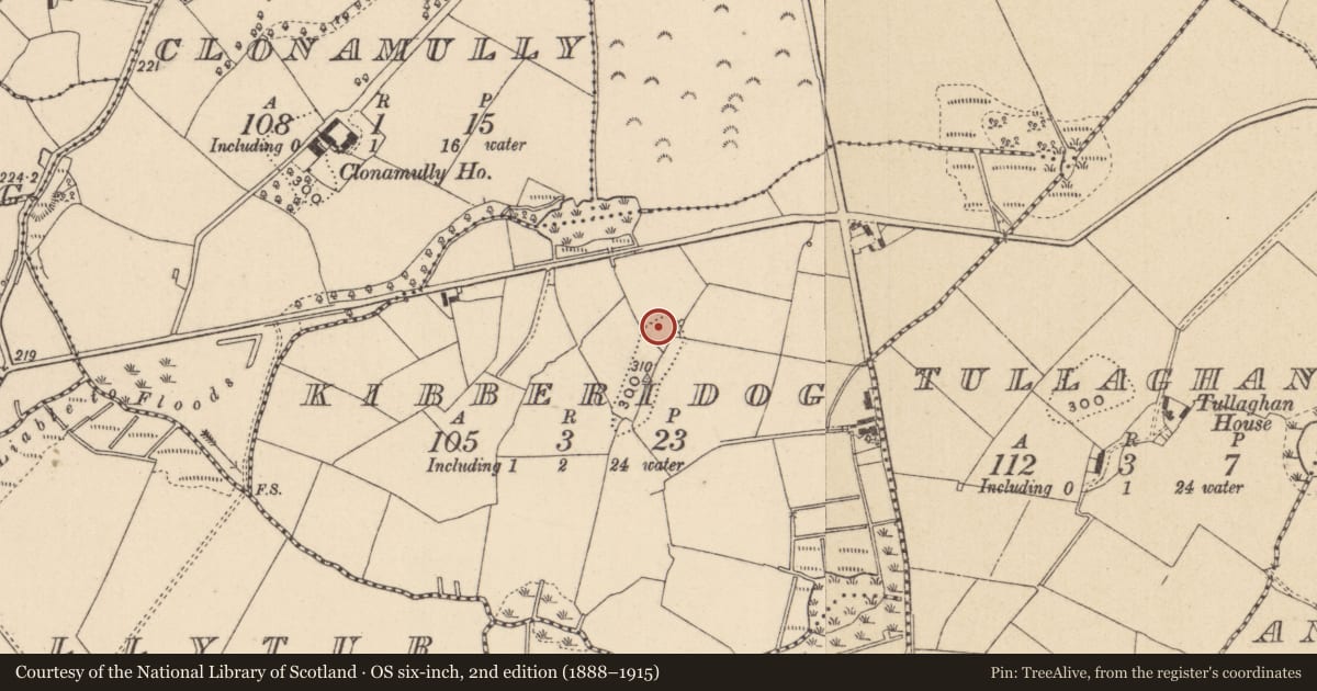Ordnance Survey six-inch map, 2nd edition (1888–1915) covering the location of Ringfort - rath, Kibberidog, County Monaghan, with a pin at the register's coordinates