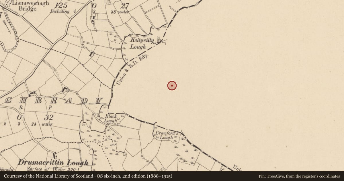 Ordnance Survey six-inch map, 2nd edition (1888–1915) covering the location of Burial ground, Kilcorran, County Monaghan, with a pin at the register's coordinates