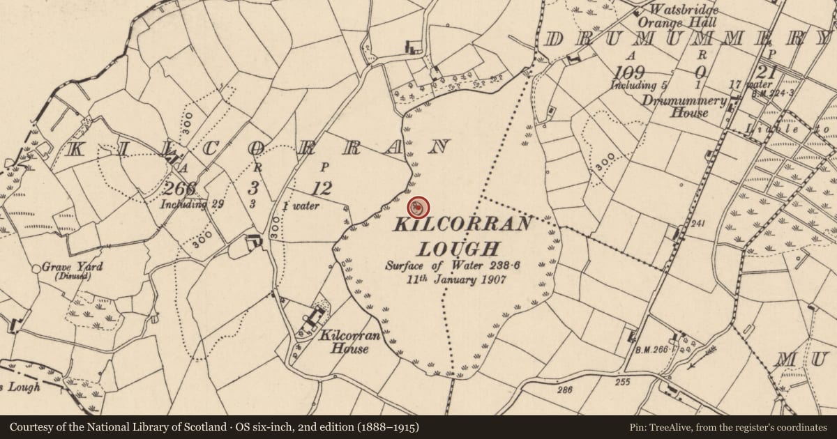 Ordnance Survey six-inch map, 2nd edition (1888–1915) covering the location of Crannog, Kilcorran, County Monaghan, with a pin at the register's coordinates