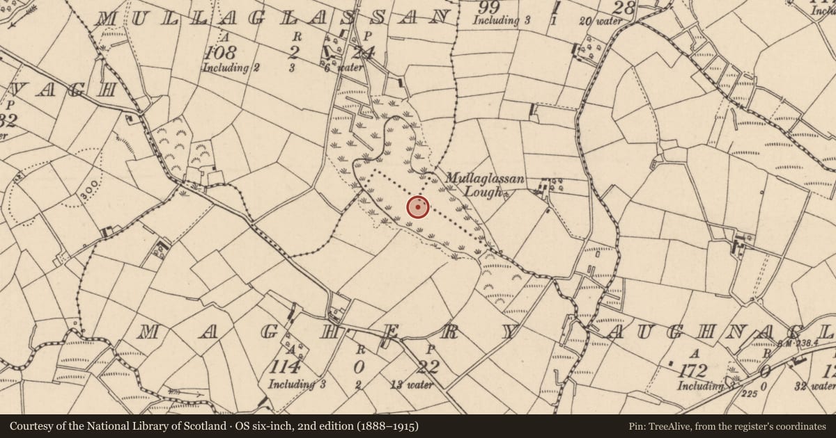 Ordnance Survey six-inch map, 2nd edition (1888–1915) covering the location of Crannog, Maghery, County Monaghan, with a pin at the register's coordinates