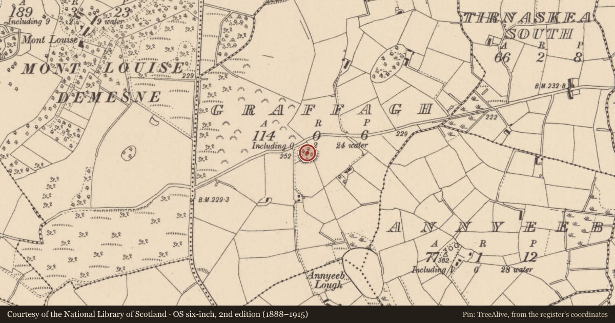 Ordnance Survey six-inch map, 2nd edition (1888–1915) covering the location of Earthwork, Graffagh, County Monaghan, with a pin at the register's coordinates