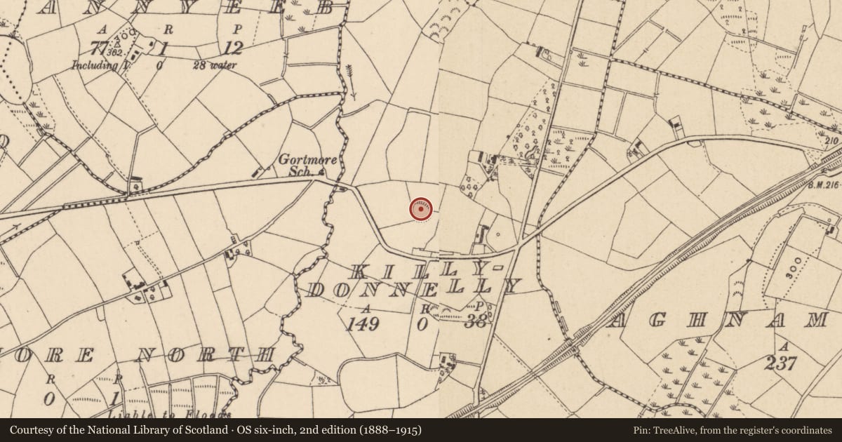 Ordnance Survey six-inch map, 2nd edition (1888–1915) covering the location of Ringfort - rath, Killydonnelly, County Monaghan, with a pin at the register's coordinates