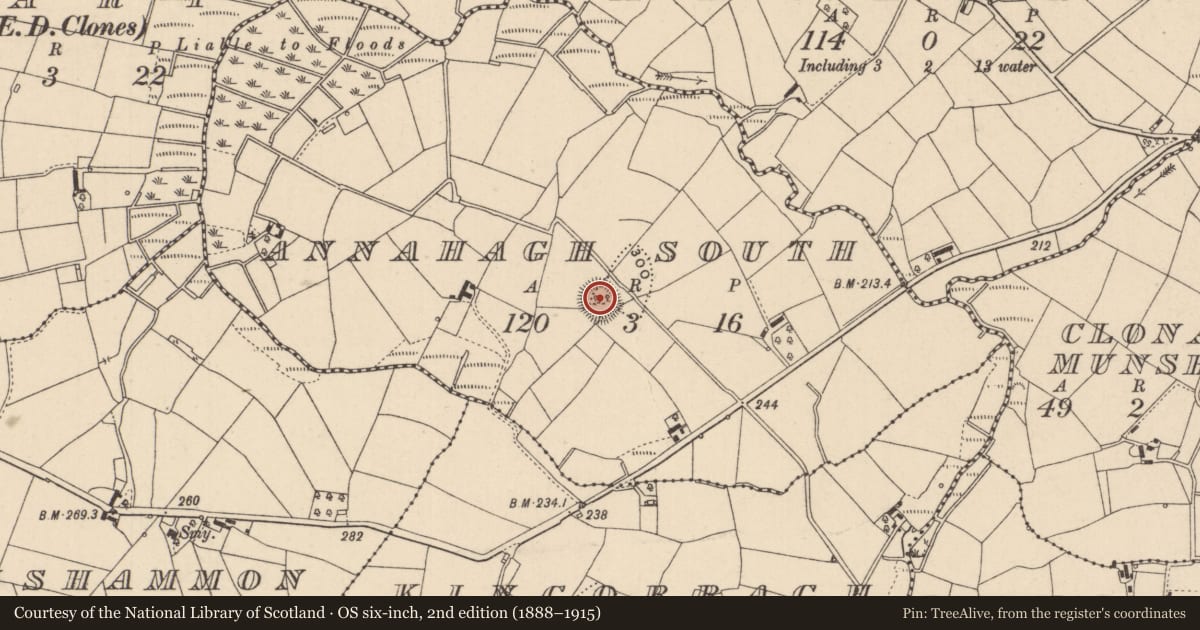 Ordnance Survey six-inch map, 2nd edition (1888–1915) covering the location of Ringfort - rath, Annahagh South, County Monaghan, with a pin at the register's coordinates