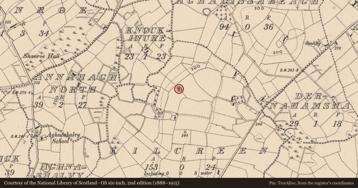 Ordnance Survey six-inch map, 2nd edition (1888–1915) covering the location of Designed landscape - tree-ring, Kilcreen, County Monaghan, with a pin at the register's coordinates