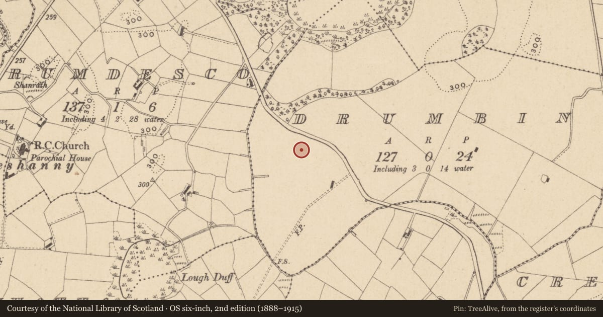 Ordnance Survey six-inch map, 2nd edition (1888–1915) covering the location of Ringfort - rath, Drumbin, County Monaghan, with a pin at the register's coordinates
