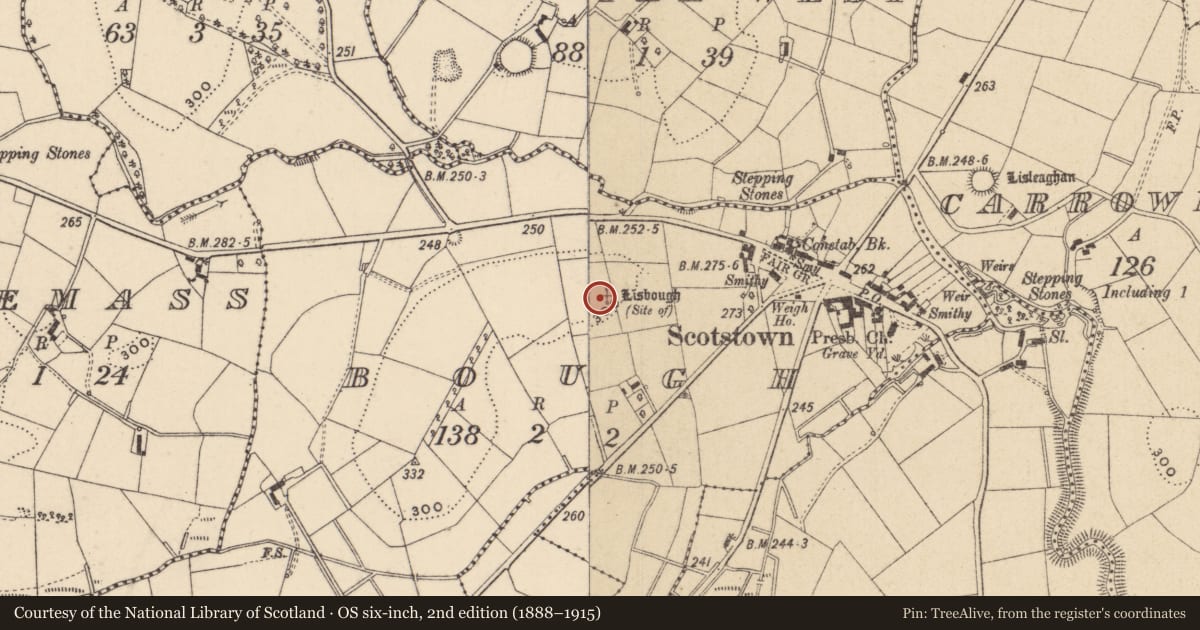 Ordnance Survey six-inch map, 2nd edition (1888–1915) covering the location of Ringfort - rath, Bough, County Monaghan, with a pin at the register's coordinates