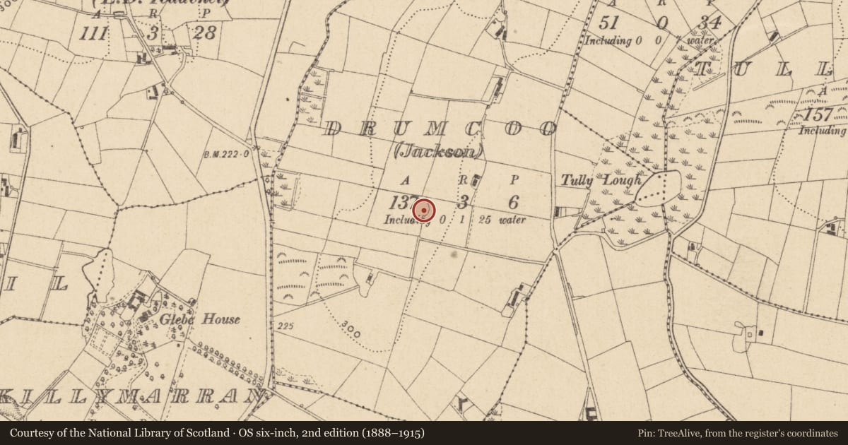 Ordnance Survey six-inch map, 2nd edition (1888–1915) covering the location of Ringfort - rath, Drumcoo (Jackson), County Monaghan, with a pin at the register's coordinates