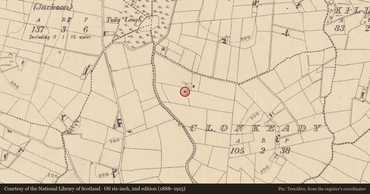 Ordnance Survey six-inch map, 2nd edition (1888–1915) covering the location of Ringfort - rath, Clonkeady, County Monaghan, with a pin at the register's coordinates