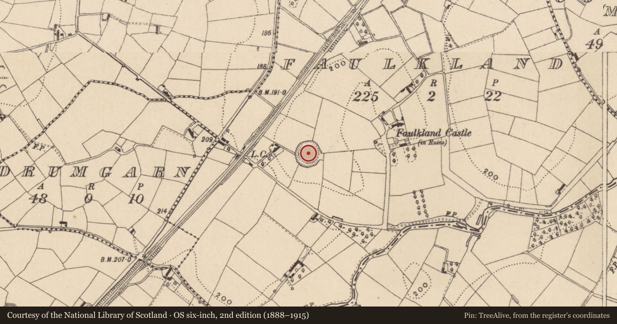 Ordnance Survey six-inch map, 2nd edition (1888–1915) covering the location of Ringfort - rath, Faulkland, County Monaghan, with a pin at the register's coordinates
