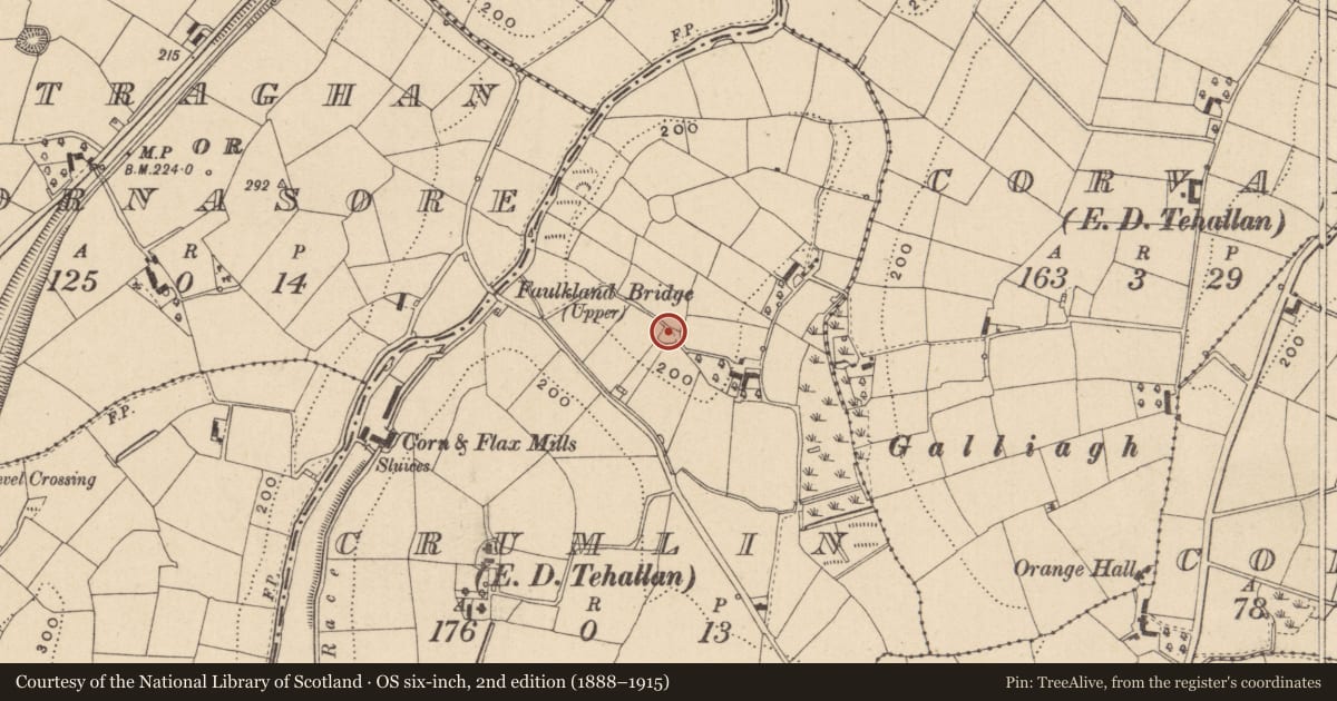 Ordnance Survey six-inch map, 2nd edition (1888–1915) covering the location of Ringfort - unclassified, Crumlin (Monaghan By., Tehallan Par.), County Monaghan, with a pin at the register's coordinates