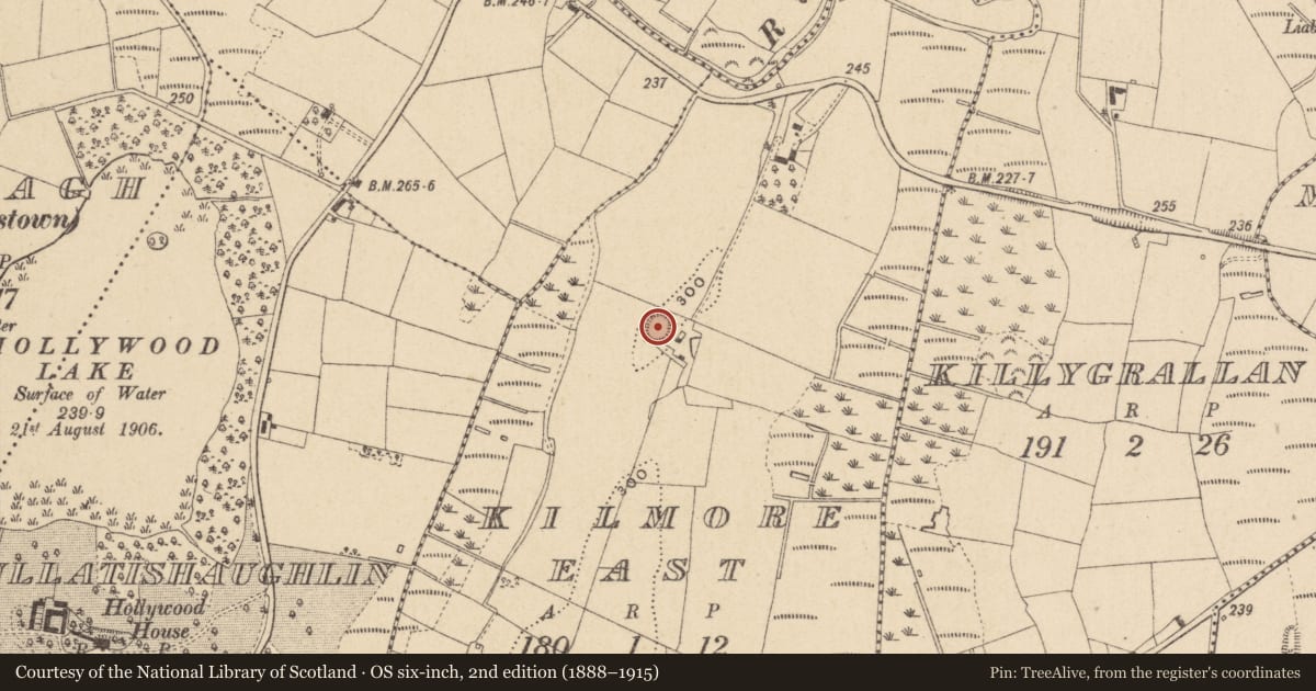 Ordnance Survey six-inch map, 2nd edition (1888–1915) covering the location of Ringfort - rath, Kilmore East, County Monaghan, with a pin at the register's coordinates