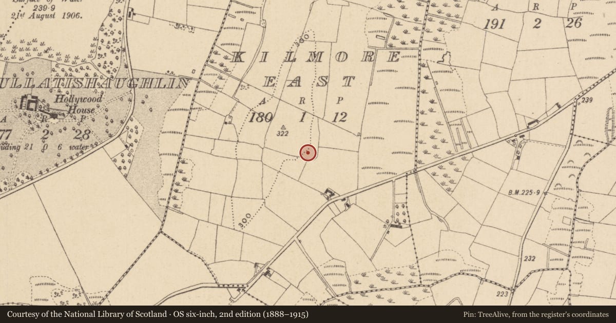 Ordnance Survey six-inch map, 2nd edition (1888–1915) covering the location of Ringfort - rath, Kilmore East, County Monaghan, with a pin at the register's coordinates