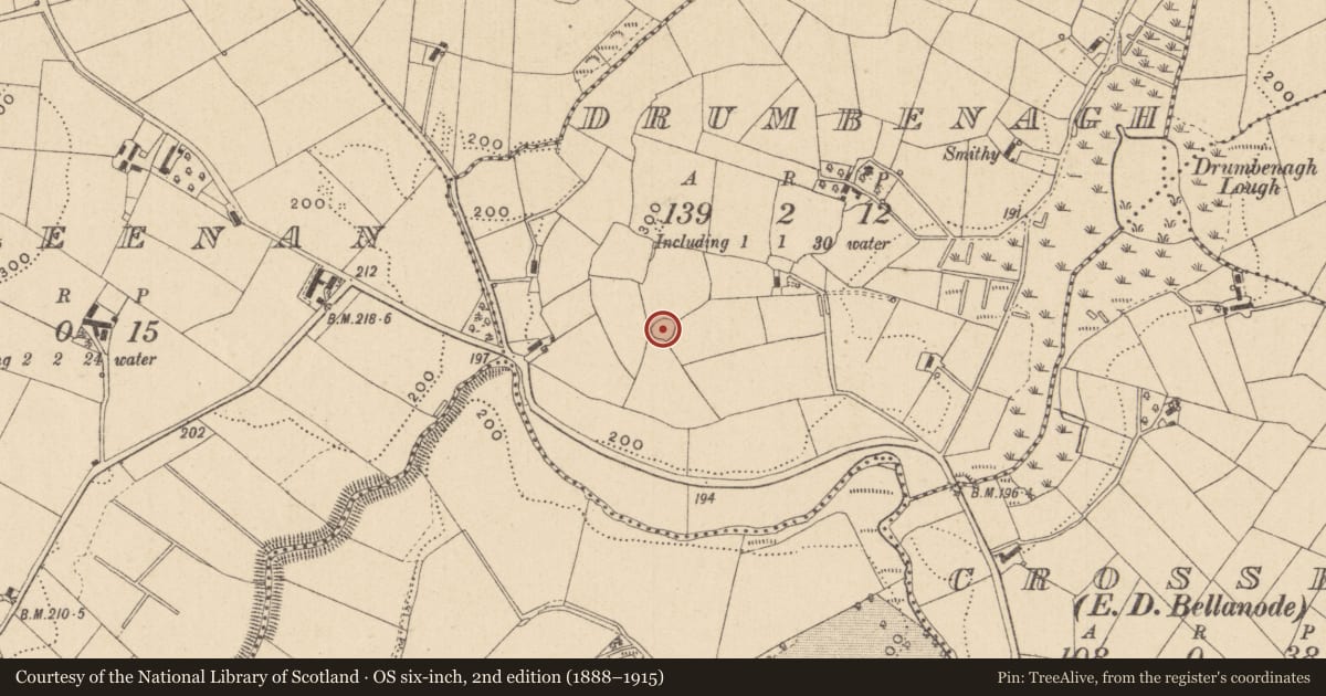 Ordnance Survey six-inch map, 2nd edition (1888–1915) covering the location of Ringfort - rath, Drumbenagh, County Monaghan, with a pin at the register's coordinates