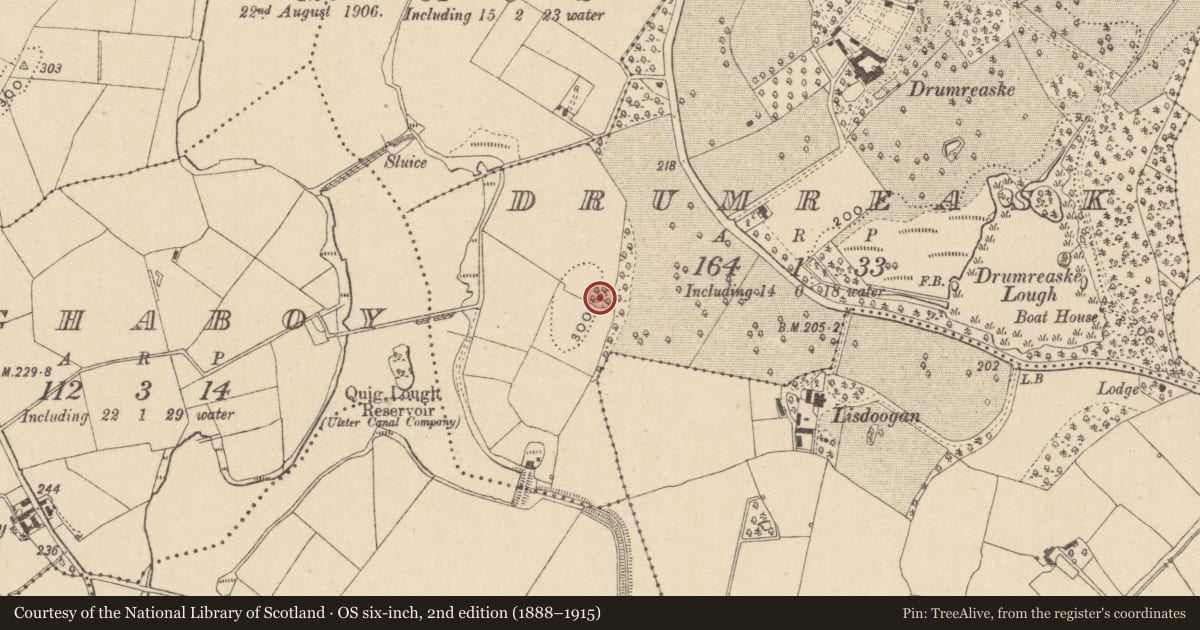Ordnance Survey six-inch map, 2nd edition (1888–1915) covering the location of Ringfort - rath, Drumreask, County Monaghan, with a pin at the register's coordinates