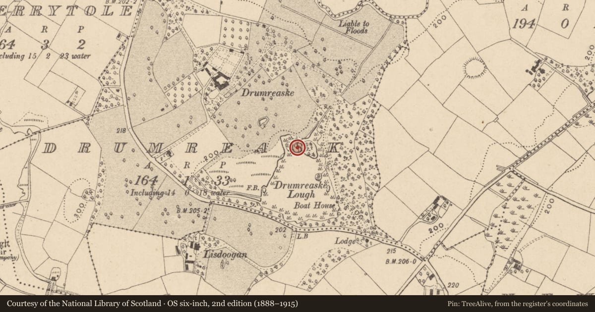 Ordnance Survey six-inch map, 2nd edition (1888–1915) covering the location of Crannog, Drumreask, County Monaghan, with a pin at the register's coordinates
