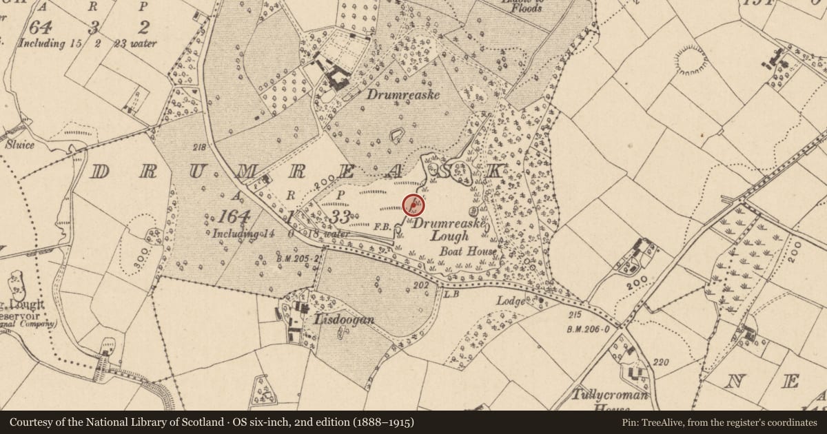 Ordnance Survey six-inch map, 2nd edition (1888–1915) covering the location of Crannog, Drumreask, County Monaghan, with a pin at the register's coordinates