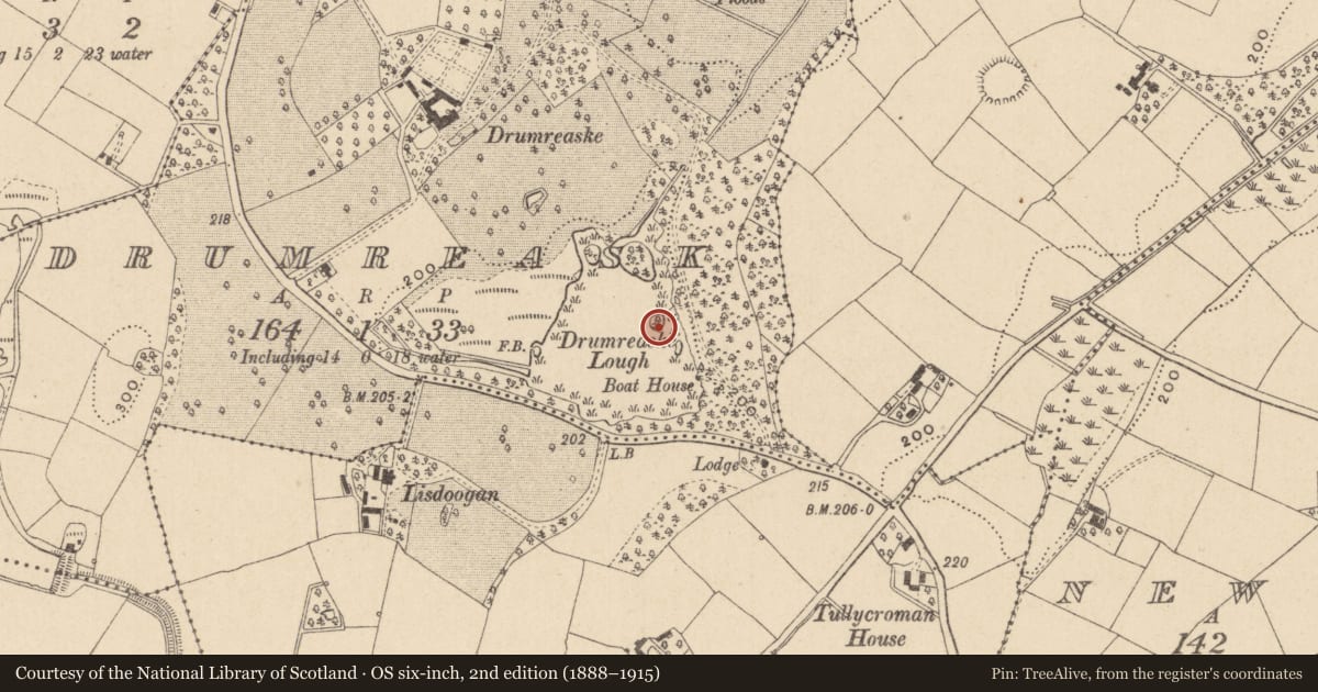 Ordnance Survey six-inch map, 2nd edition (1888–1915) covering the location of Crannog, Drumreask, County Monaghan, with a pin at the register's coordinates