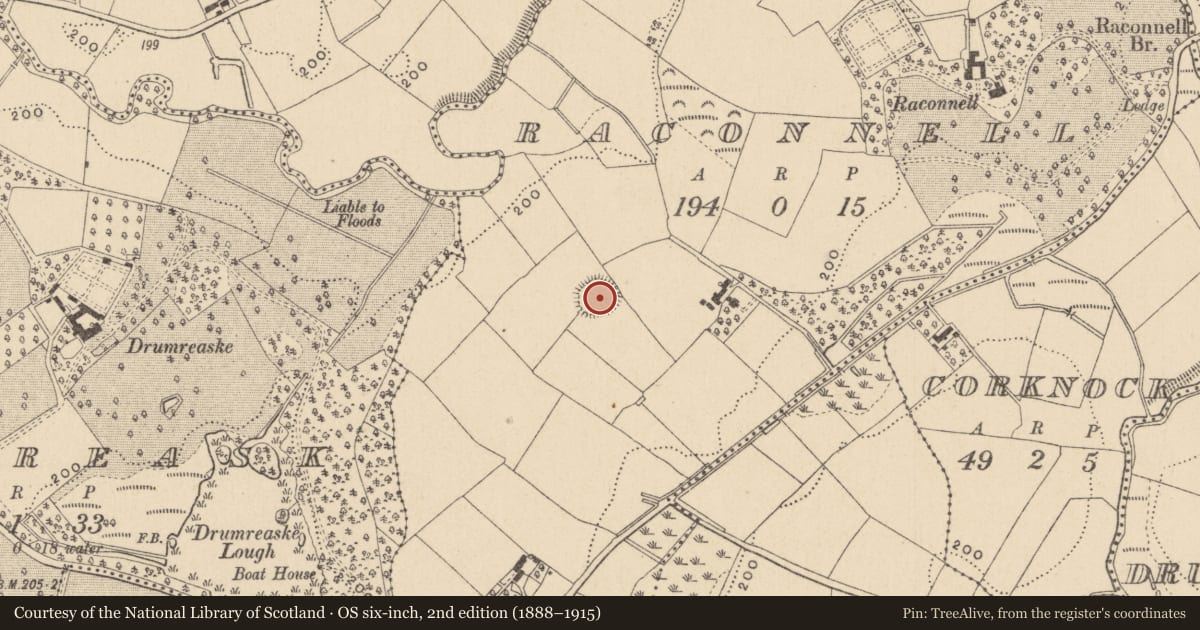 Ordnance Survey six-inch map, 2nd edition (1888–1915) covering the location of Ringfort - rath, Raconnell, County Monaghan, with a pin at the register's coordinates