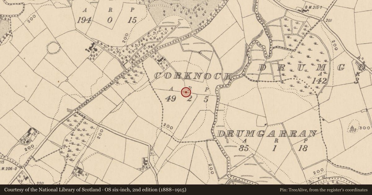Ordnance Survey six-inch map, 2nd edition (1888–1915) covering the location of Ringfort - rath, Corknock, County Monaghan, with a pin at the register's coordinates