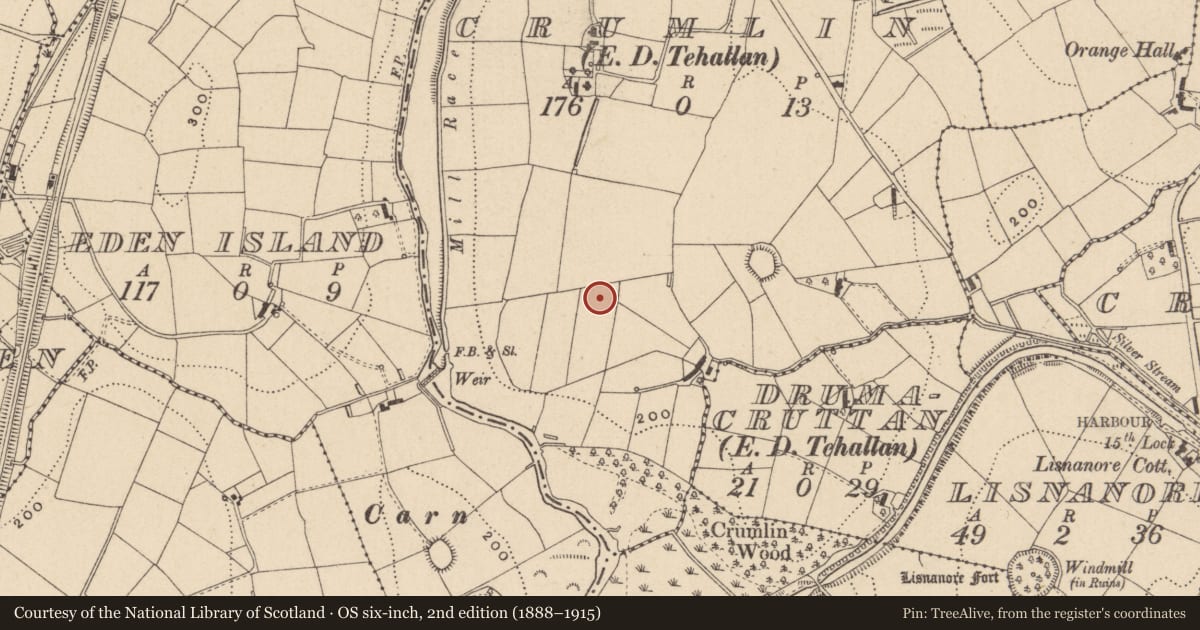 Ordnance Survey six-inch map, 2nd edition (1888–1915) covering the location of Ringfort - rath, Crumlin (Monaghan By., Tehallan Par.), County Monaghan, with a pin at the register's coordinates