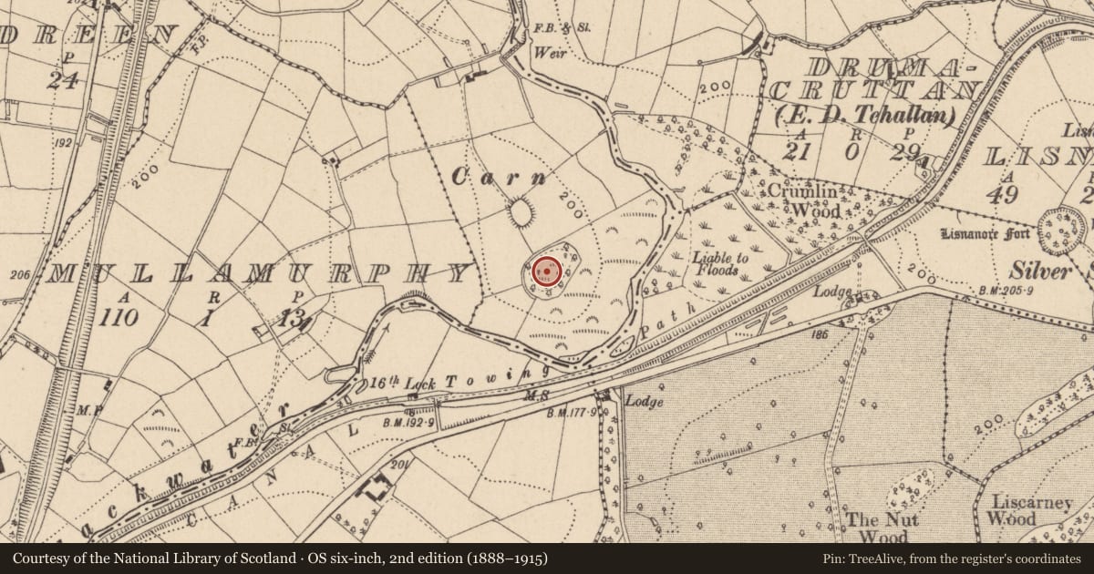 Ordnance Survey six-inch map, 2nd edition (1888–1915) covering the location of Designed landscape - tree-ring, Eden Island, County Monaghan, with a pin at the register's coordinates