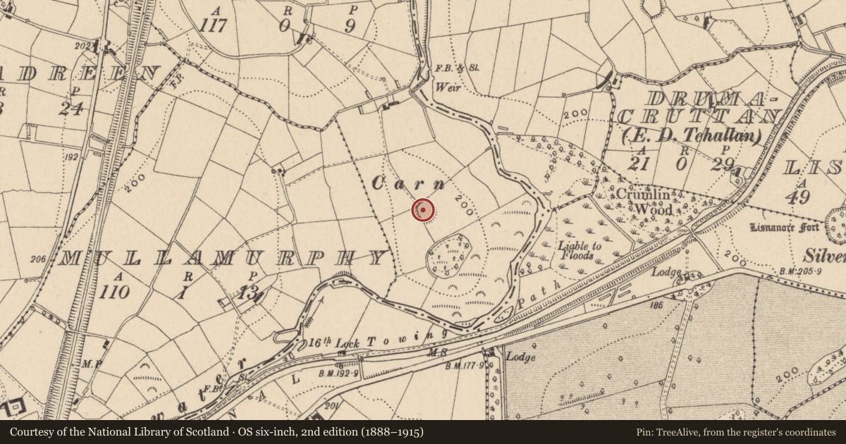 Ordnance Survey six-inch map, 2nd edition (1888–1915) covering the location of Ringfort - rath, Eden Island, County Monaghan, with a pin at the register's coordinates
