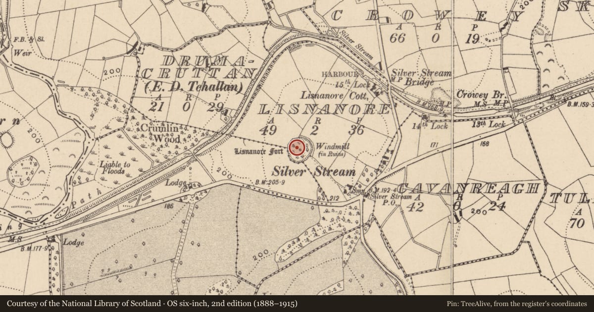 Ordnance Survey six-inch map, 2nd edition (1888–1915) covering the location of Designed landscape - tree-ring, Lisnanore, County Monaghan, with a pin at the register's coordinates