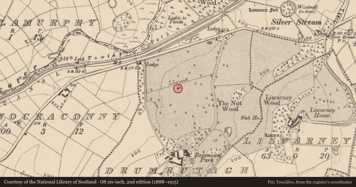 Ordnance Survey six-inch map, 2nd edition (1888–1915) covering the location of Ringfort - rath, Drumrutagh, County Monaghan, with a pin at the register's coordinates