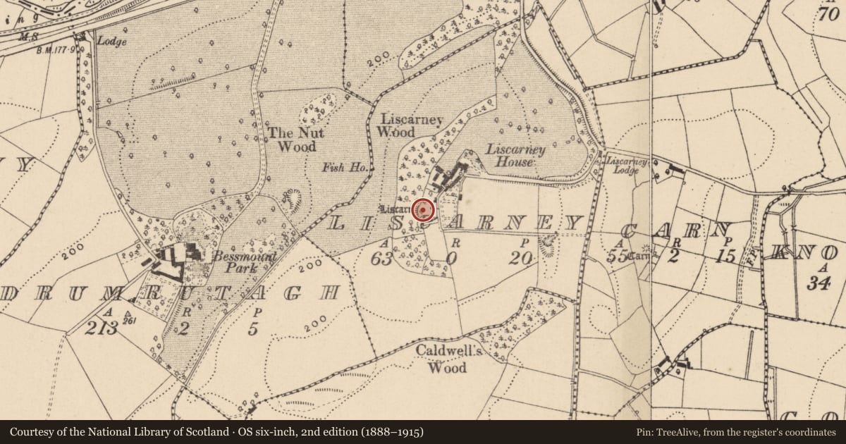 Ordnance Survey six-inch map, 2nd edition (1888–1915) covering the location of Ringfort - rath, Liscarney, County Monaghan, with a pin at the register's coordinates