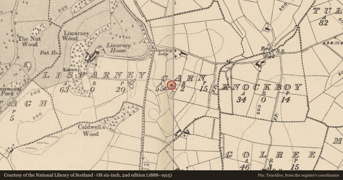 Ordnance Survey six-inch map, 2nd edition (1888–1915) covering the location of Cairn - unclassified, Carn, County Monaghan, with a pin at the register's coordinates