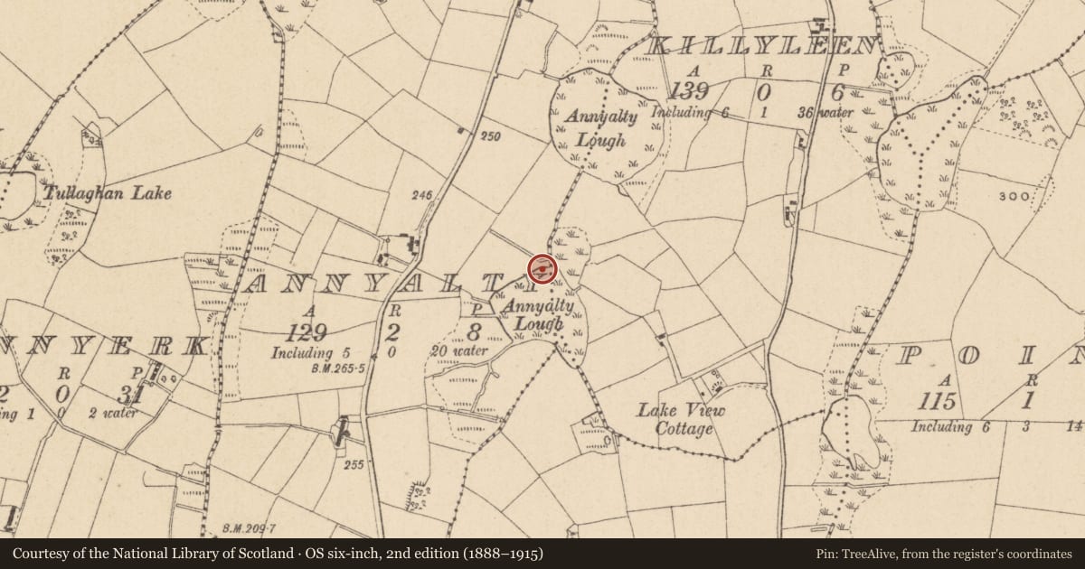 Ordnance Survey six-inch map, 2nd edition (1888–1915) covering the location of Crannog, Annyalty, County Monaghan, with a pin at the register's coordinates