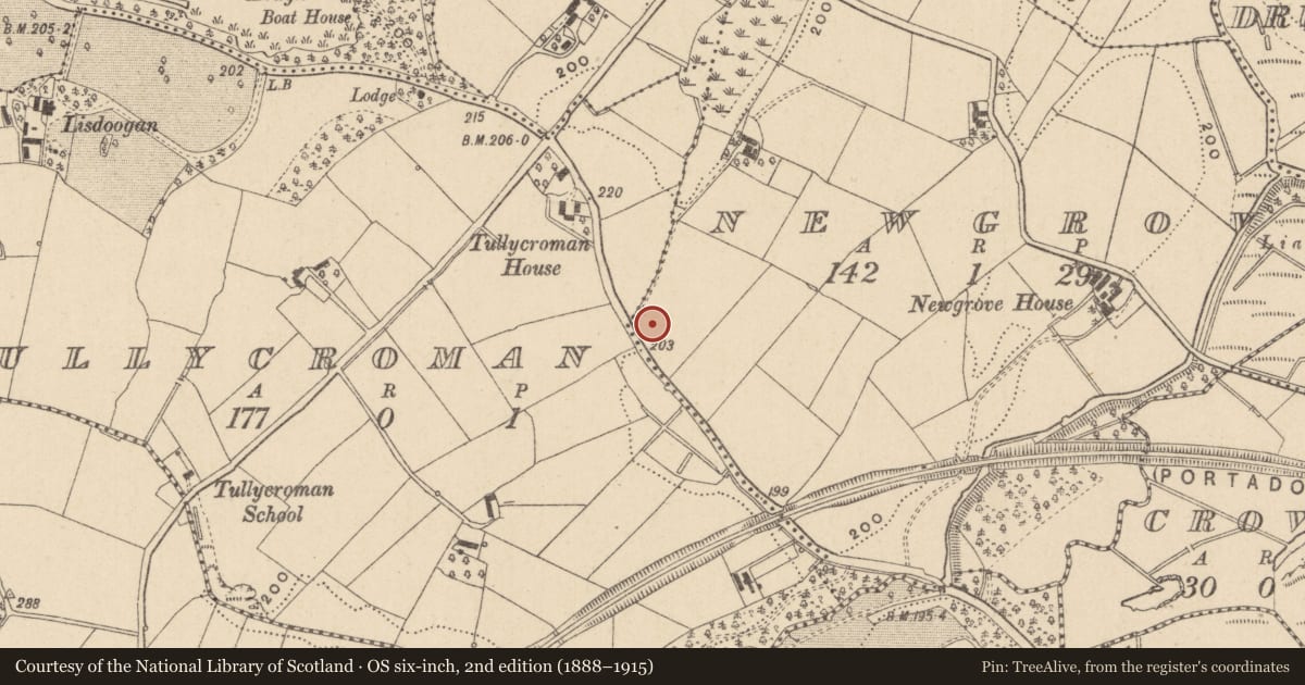 Ordnance Survey six-inch map, 2nd edition (1888–1915) covering the location of Ringfort - rath, Newgrove, County Monaghan, with a pin at the register's coordinates