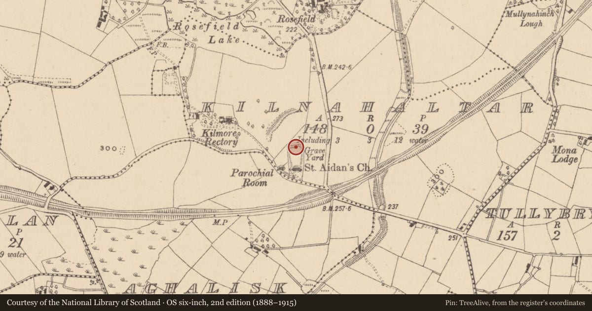 Ordnance Survey six-inch map, 2nd edition (1888–1915) covering the location of Bullaun stone, Kilnahaltar, County Monaghan, with a pin at the register's coordinates