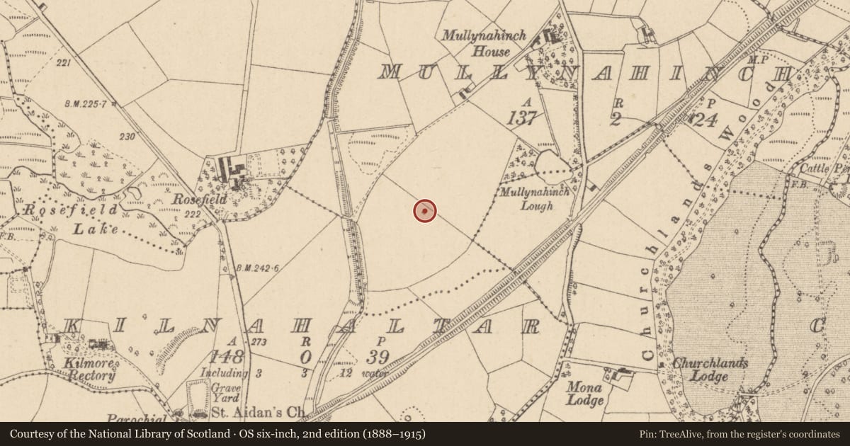 Ordnance Survey six-inch map, 2nd edition (1888–1915) covering the location of Designed landscape - tree-ring, Mullynahinch, County Monaghan, with a pin at the register's coordinates