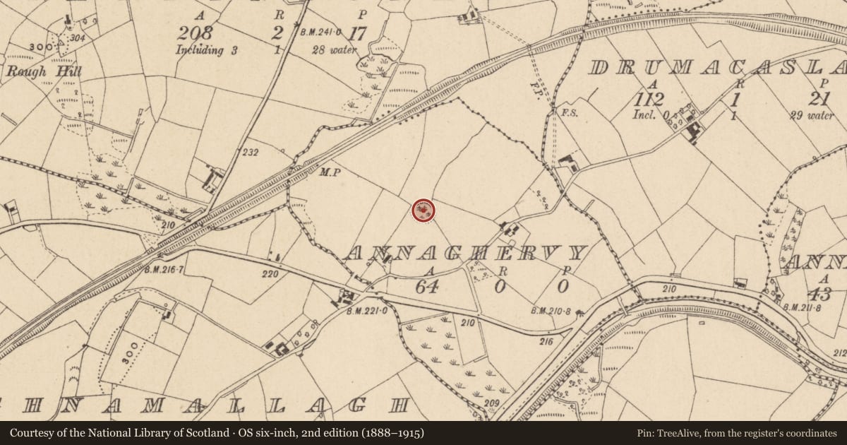 Ordnance Survey six-inch map, 2nd edition (1888–1915) covering the location of Ringfort - rath, Annaghervy, County Monaghan, with a pin at the register's coordinates