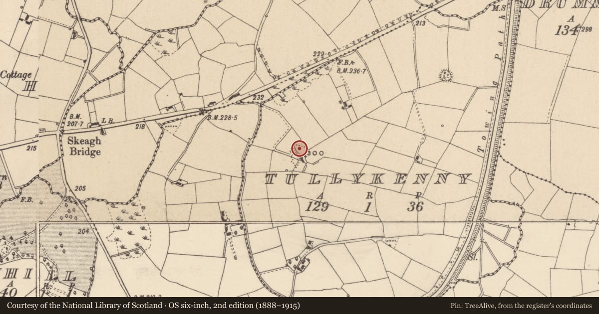 Ordnance Survey six-inch map, 2nd edition (1888–1915) covering the location of Ringfort - rath, Tullykenny, County Monaghan, with a pin at the register's coordinates