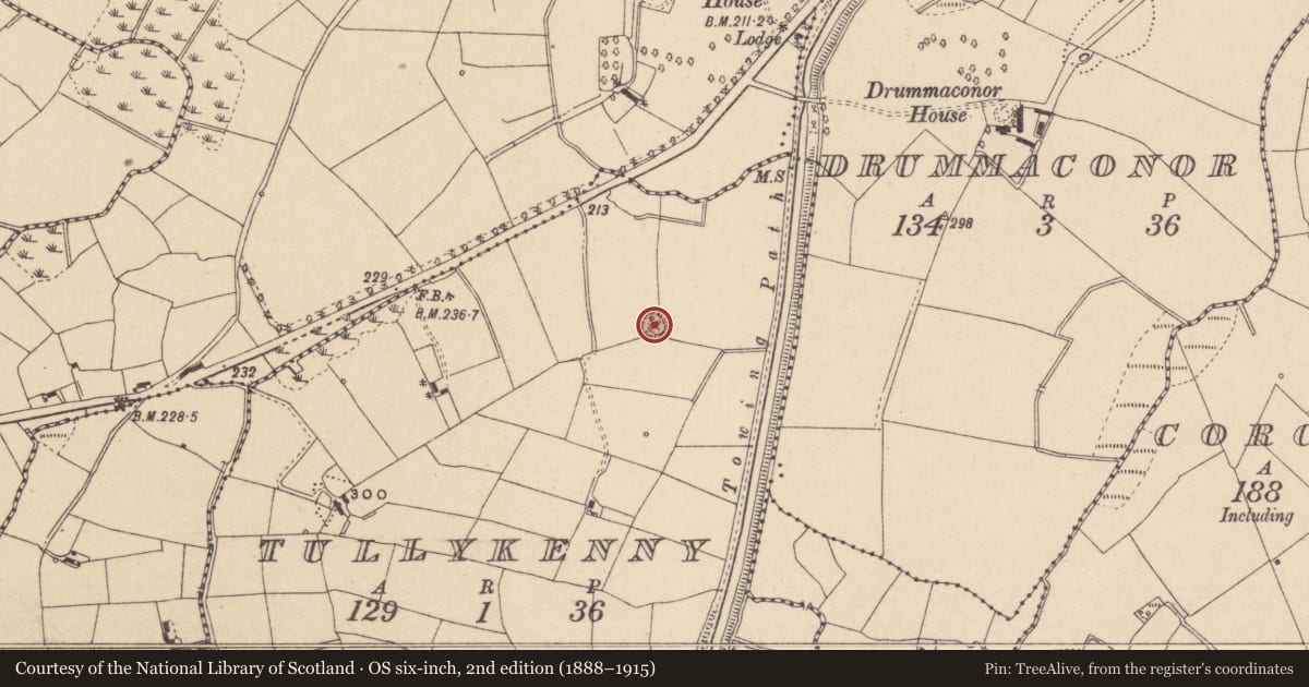 Ordnance Survey six-inch map, 2nd edition (1888–1915) covering the location of Ringfort - rath, Tullykenny, County Monaghan, with a pin at the register's coordinates