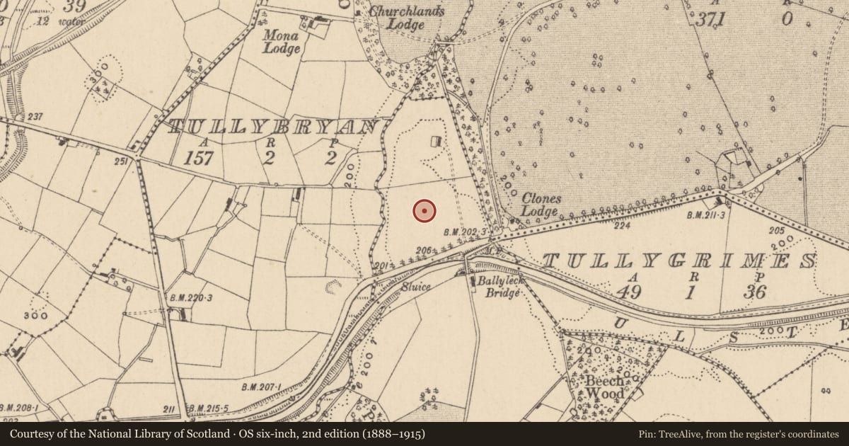 Ordnance Survey six-inch map, 2nd edition (1888–1915) covering the location of Ringfort - rath, Ballyleck, County Monaghan, with a pin at the register's coordinates