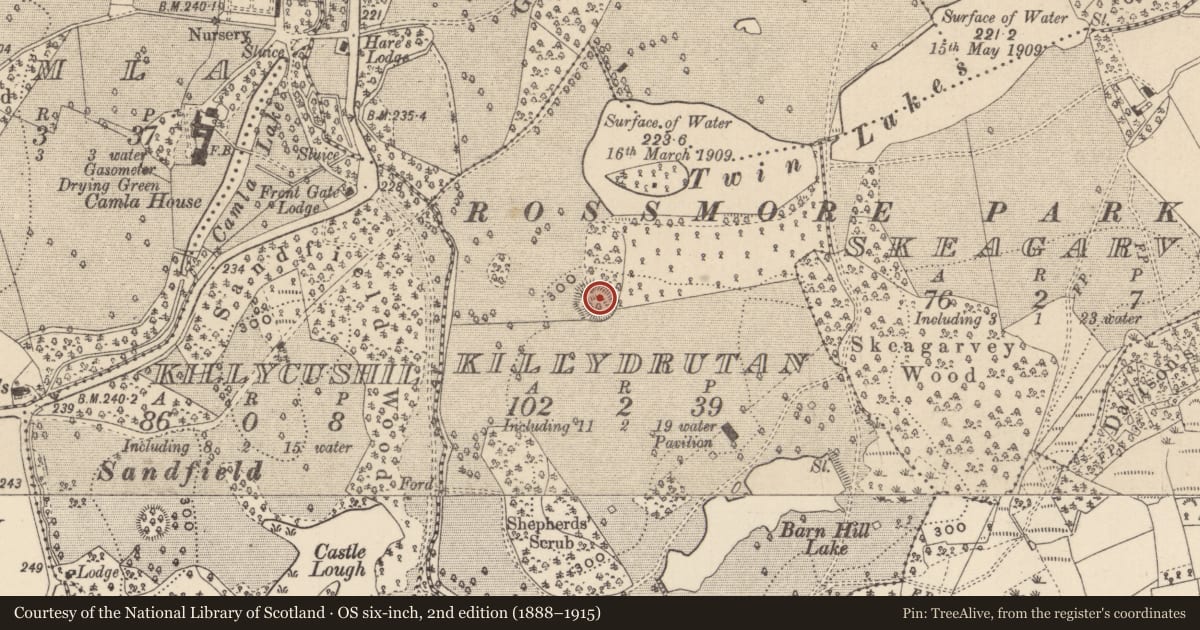 Ordnance Survey six-inch map, 2nd edition (1888–1915) covering the location of Ringfort - rath, Killydrutan, County Monaghan, with a pin at the register's coordinates