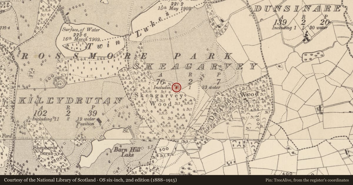 Ordnance Survey six-inch map, 2nd edition (1888–1915) covering the location of Megalithic tomb - unclassified, Skeagarvey, County Monaghan, with a pin at the register's coordinates