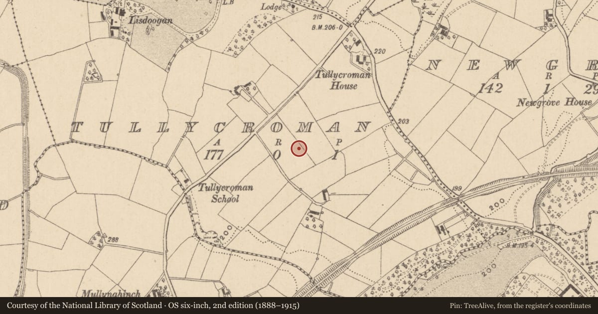 Ordnance Survey six-inch map, 2nd edition (1888–1915) covering the location of Ringfort - rath, Tullycroman, County Monaghan, with a pin at the register's coordinates